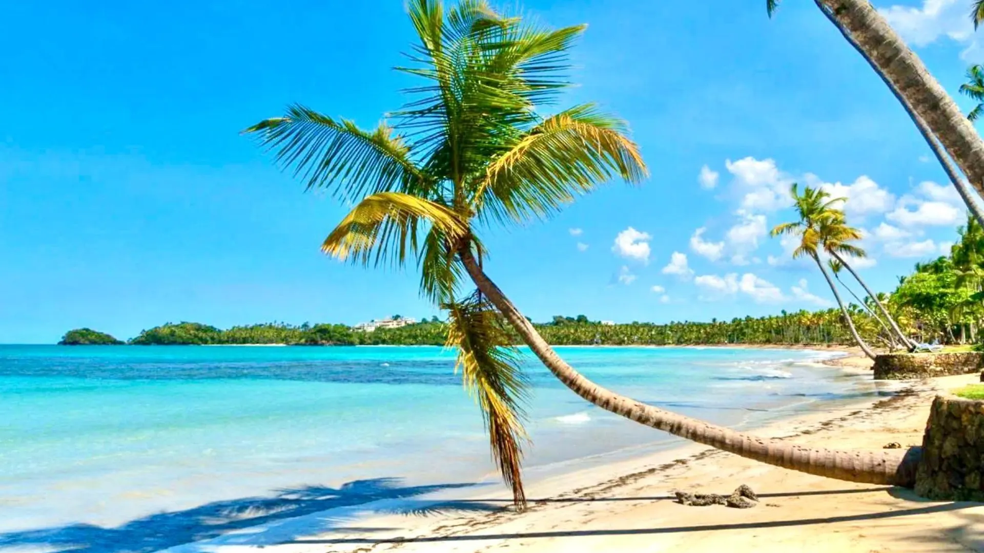 All New Modern Loft With Dreamy Ocean View Las Terrenas